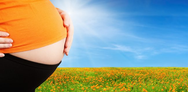 Pregnancy Superfoods Pregnancy Superfoods