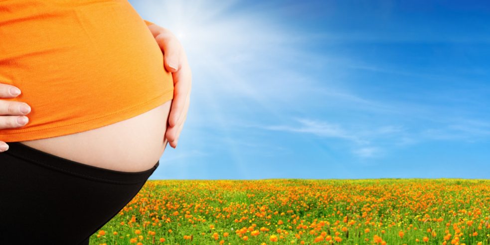 Pregnancy Superfoods Pregnancy Superfoods