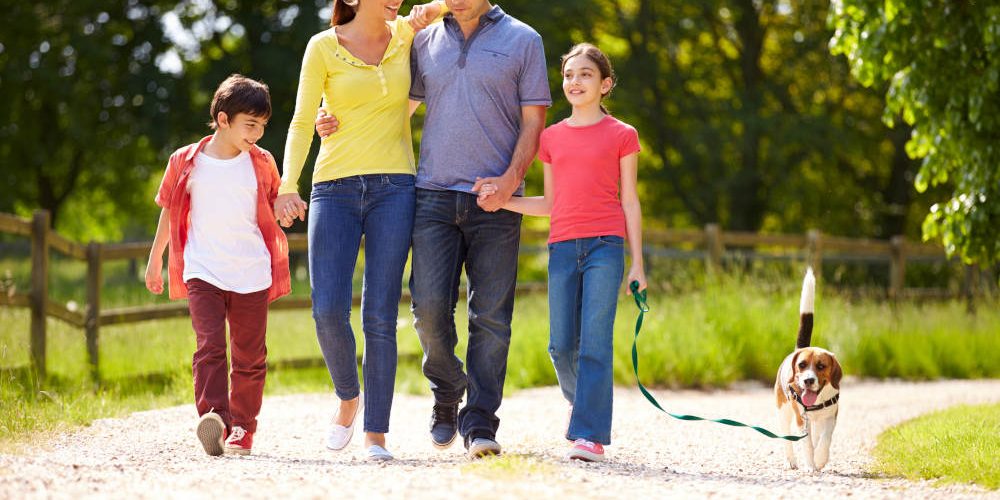 Celebrate Family Health and Fitness Day | OBGYN High Desert